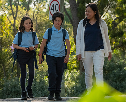 How To Cross The Road Safely With Ozzie, Stop, Look, Listen, Think